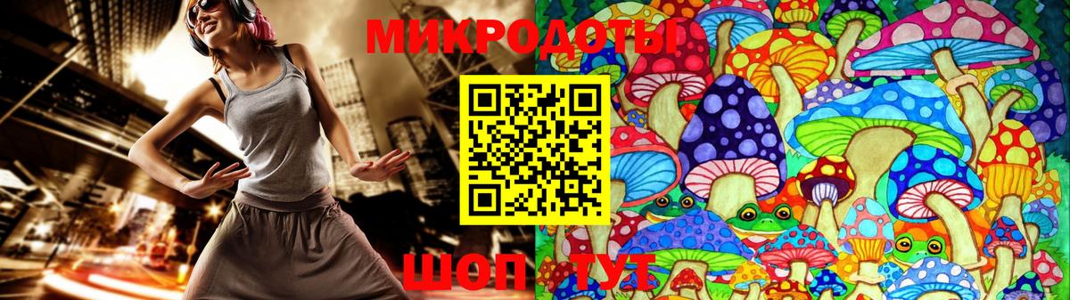 Галлюциногенные грибы Psilocybine cubensis Кольчугино