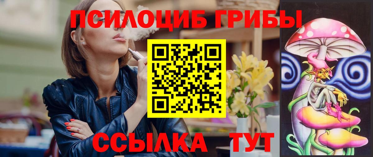 продажа наркотиков  Вход с VPN  Кольчугино  Галлюциногенные грибы MAGIC MUSHROOMS 